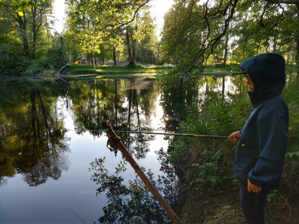 Vackert vid älven.